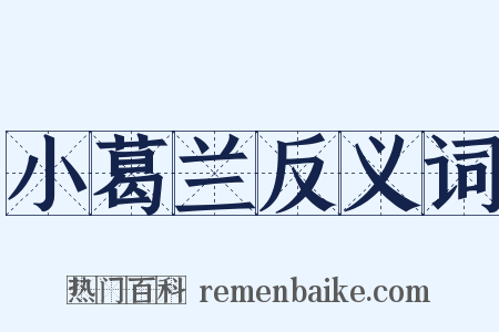 小葛兰反义词是什么意思的图片